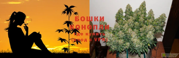 шишки Алзамай