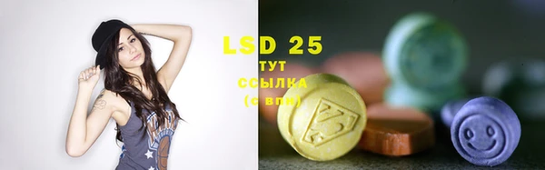 шишки Алзамай