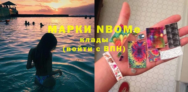 шишки Алзамай