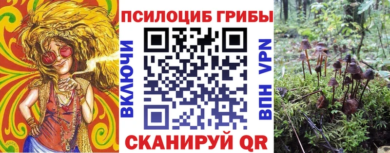 Галлюциногенные грибы мухоморы Амурск